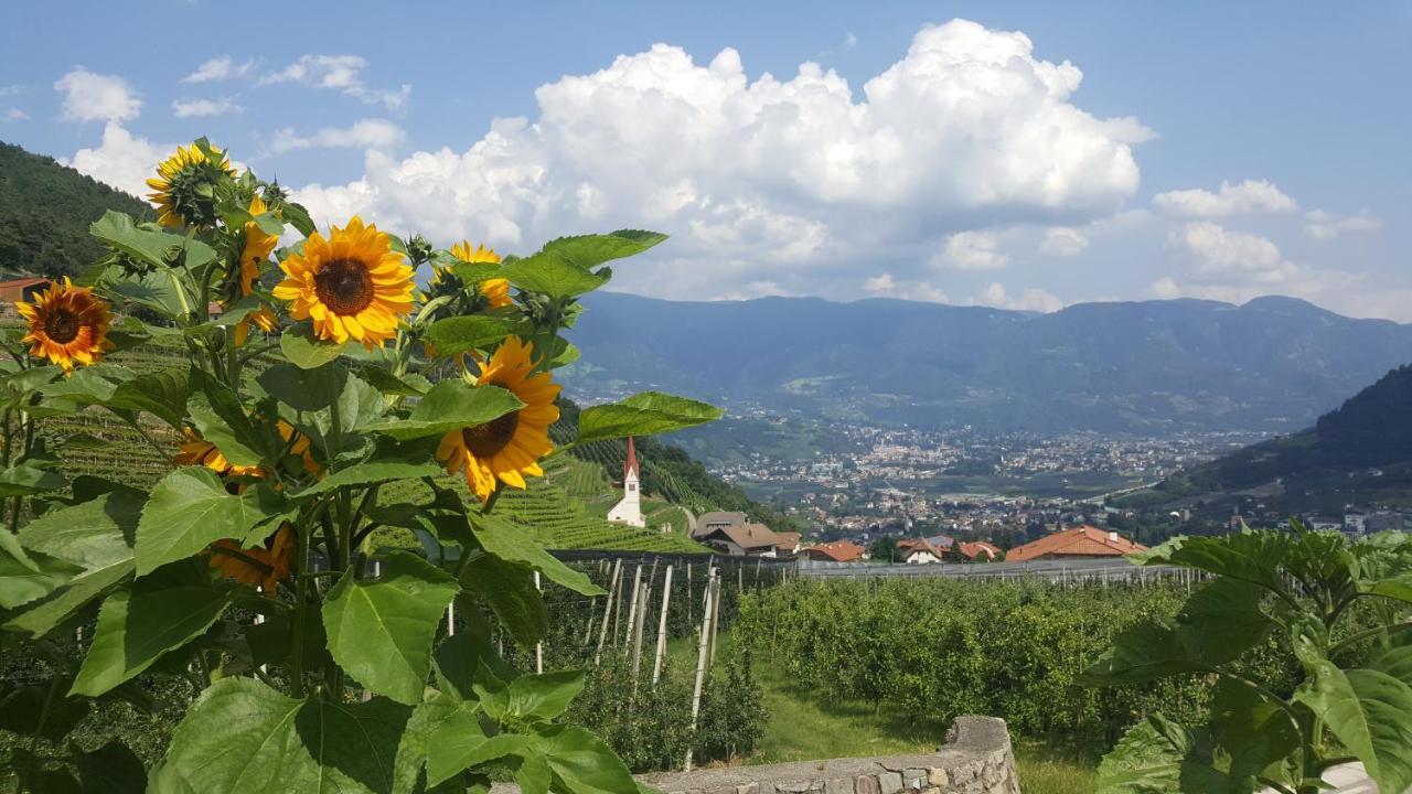 Almbergerhof Appartement Algund Buitenkant foto